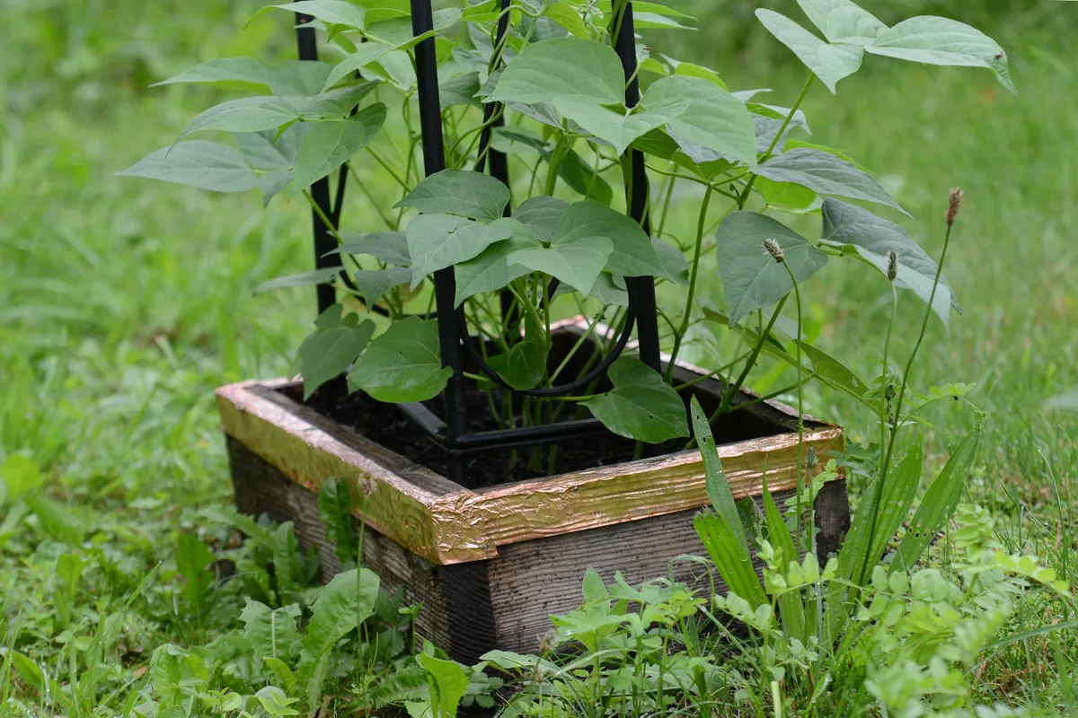 Gemeinsame Gartenarbeit in Turbenthal am Samstag, 13. Juli 2024.