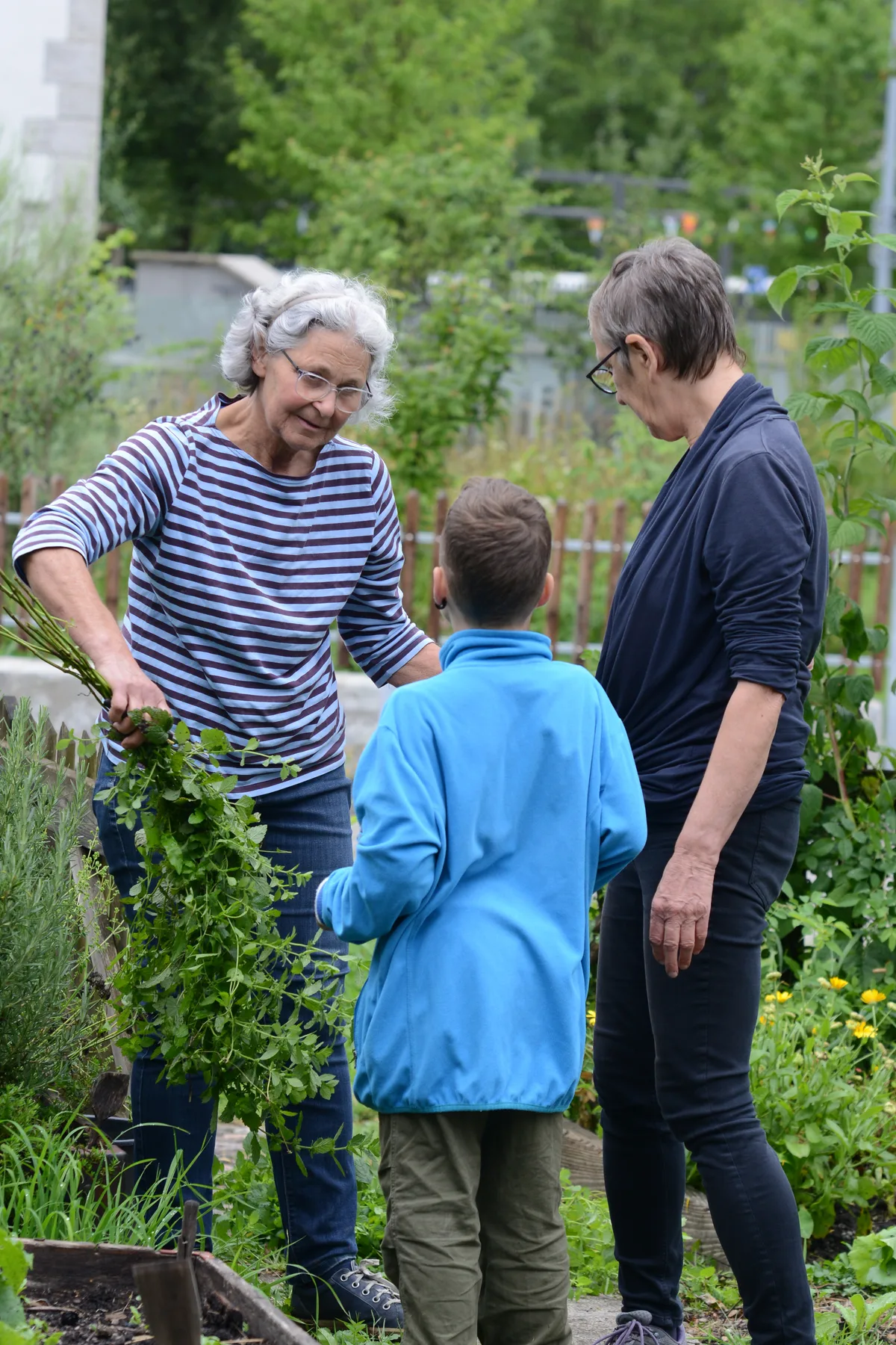 Gemeinsame Gartenarbeit in Turbenthal am Samstag, 13. Juli 2024.