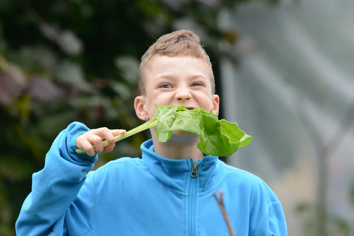 Gemeinsame Gartenarbeit in Turbenthal am Samstag, 13. Juli 2024.