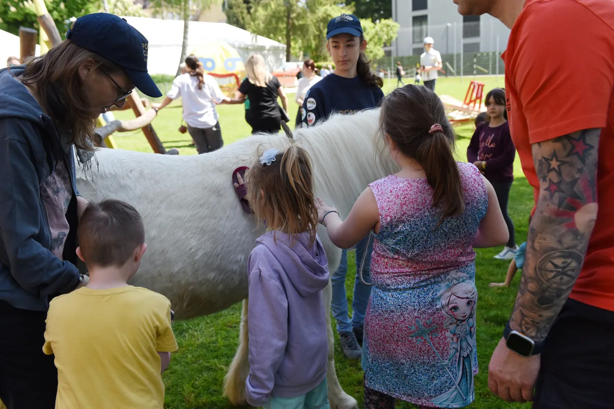 Ponys streicheln und striegeln wurde unter der professionellen Anleitung der Reitschule Bonnie Ponies durchgeführt. Hier striegeln die Kinder das Pony Panny Lane. 50 Jahre Jubiläum der HPSTurbenthal Fest an der Heilpädagogischen Schule am Sa 10.05.2025
