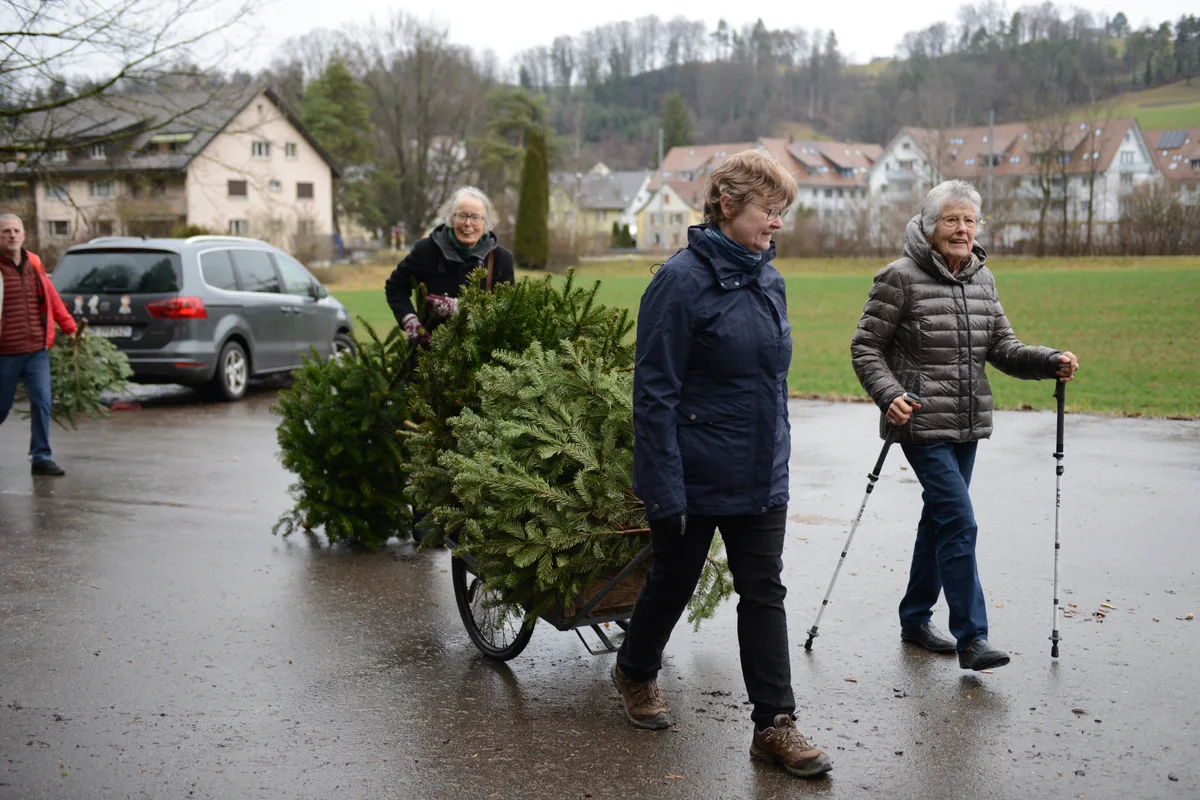 Die Besucher schleppten ihre Christbäume eigenhändig zur Heizzentrale in Rikon. Personen transportieren Christbäume.