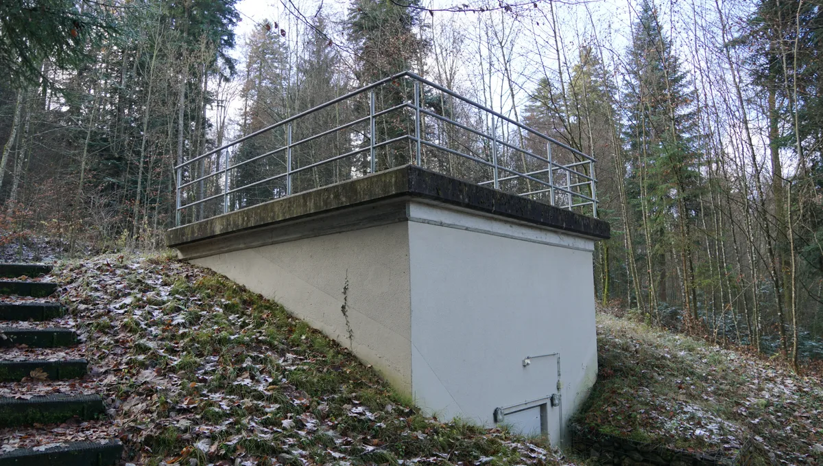 Man sieht ein Haus aus Beton mit einer metallenen Tür und einer Reling am Dach in einem Wald.