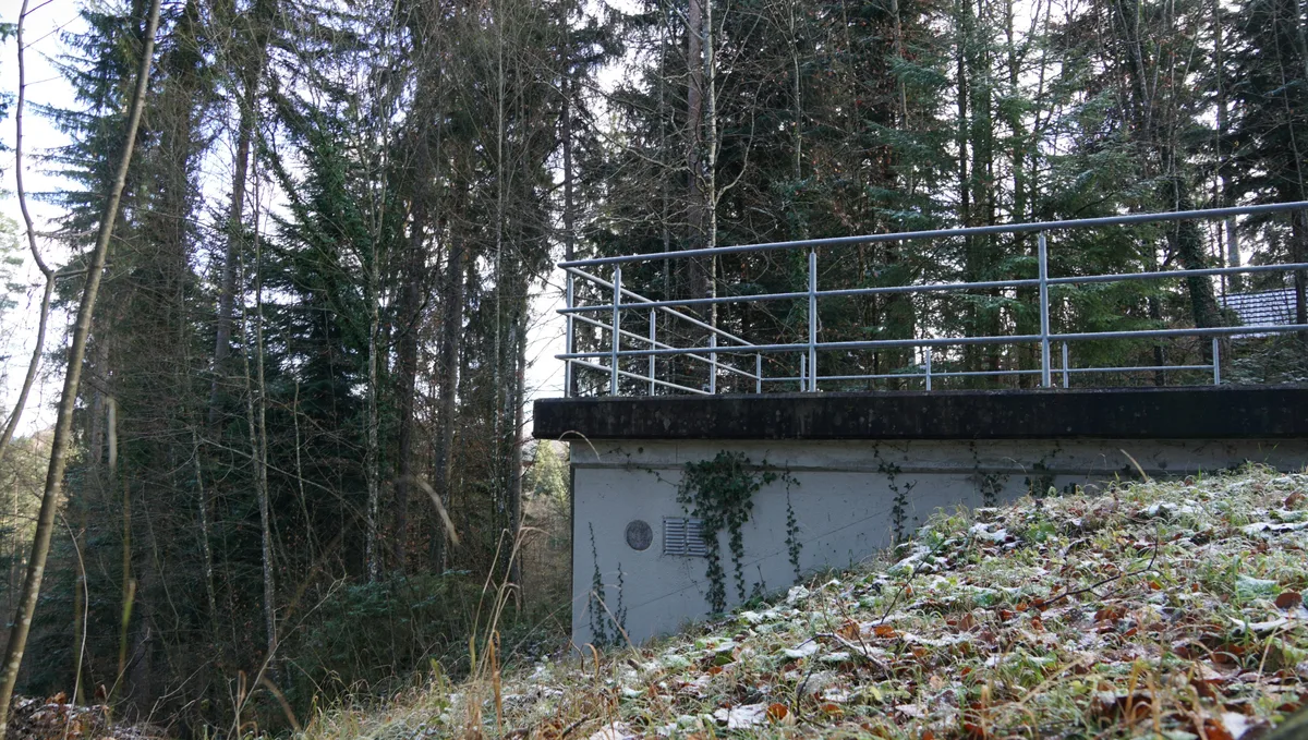 Man sieht ein Haus aus Beton mit einer metallenen Tür und einer Reling am Dach in einem Wald.