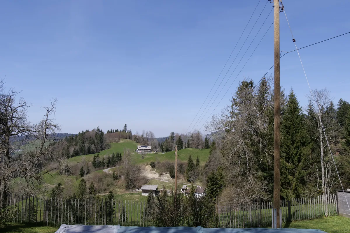 Man sieht Telefonmasten.