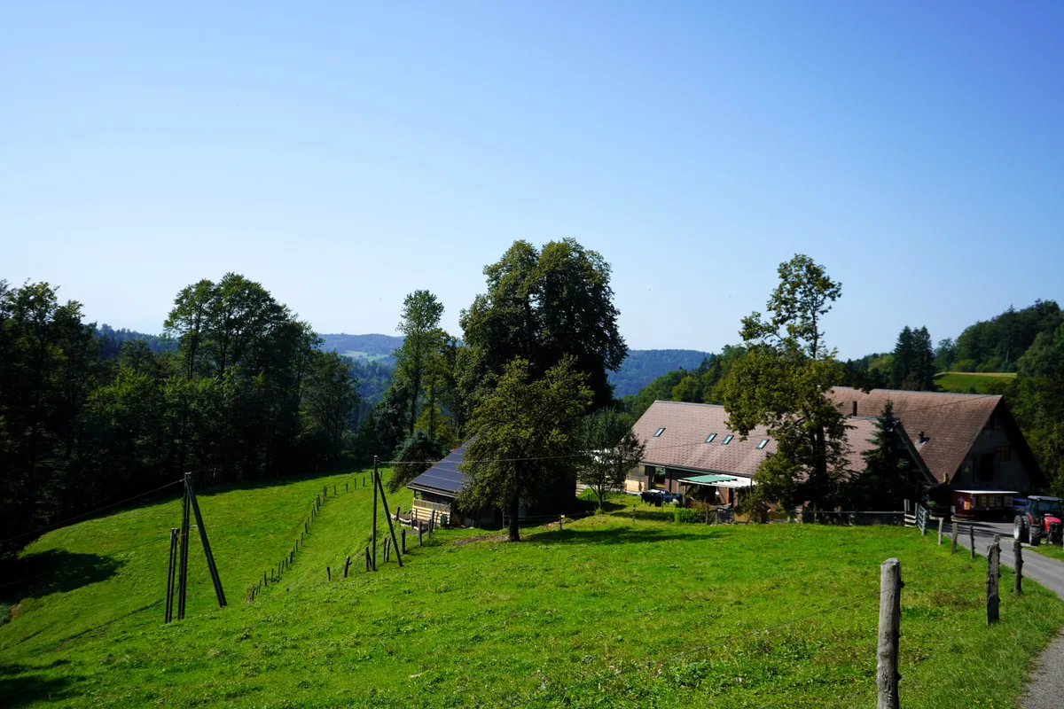 Man sieht eine Alphütte.