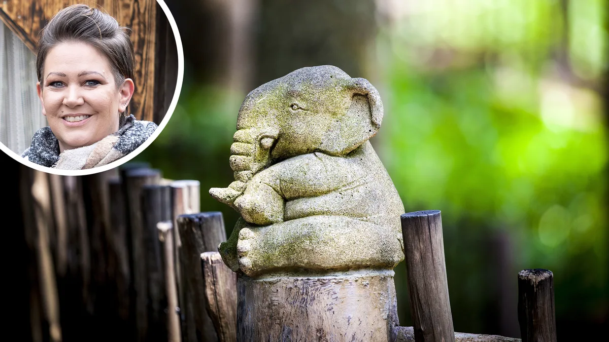 23997447-2 -