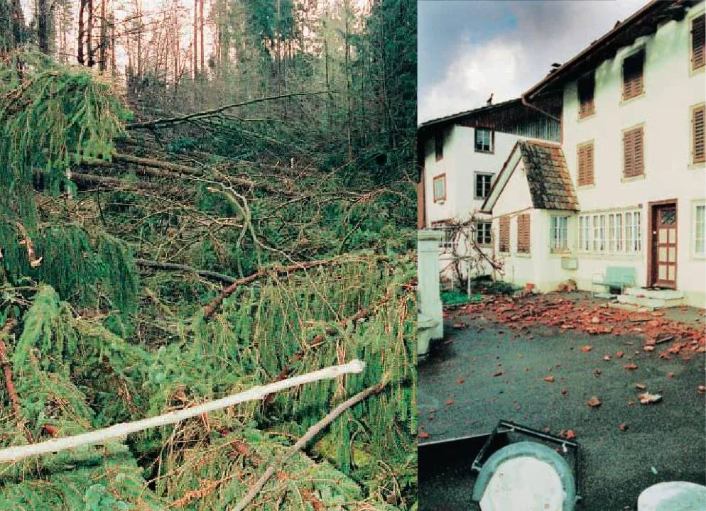 Die Strasse zwischen Gutenswil und Fehraltorf, abgedeckte Dächer und umgeworfene Gegenstände in Fehraltorf: Mano Reichling hielt die Sturmschäden mit seiner Kamera fest. Man sieht eine mit Bäumen übersähte Strasse und ein Haus, von dem Ziegel heruntergefallen sind.