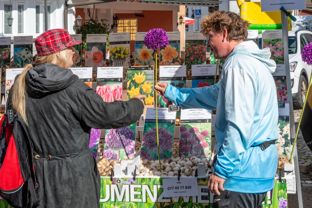 Zierlauch und Tulpen haben genau jetzt Pflanzzeit. Daniel Schmolke mit seinen Holländischen Knollen weiss Bescheid. Zierlauch und Tulpen haben genau jetzt Pflanzzeit. Daniel Schmolke mit seinen Holländischen Knollen weiss Bescheid.
