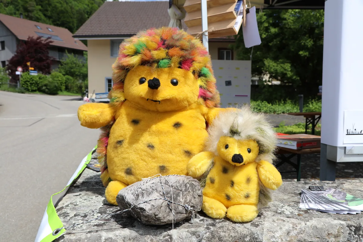 Impressionen der Jungtierschau in Zell.