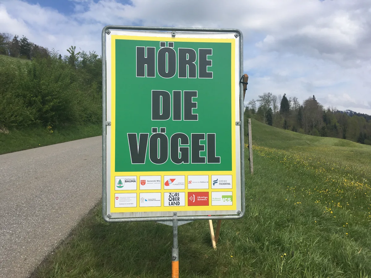 Man sieht ein Plakat mit grünem Hintergrund und der Aufschrift «Höre die Vögel».