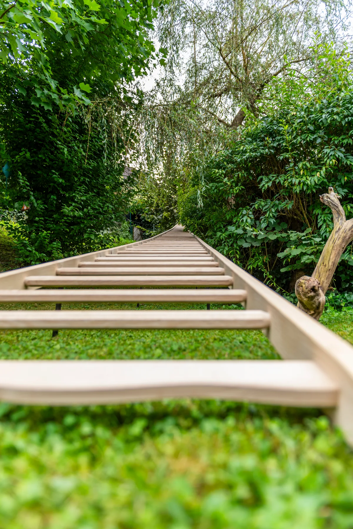 Die Kunstausstellung «Lisalottas Garten» war ein voller Erfolg.