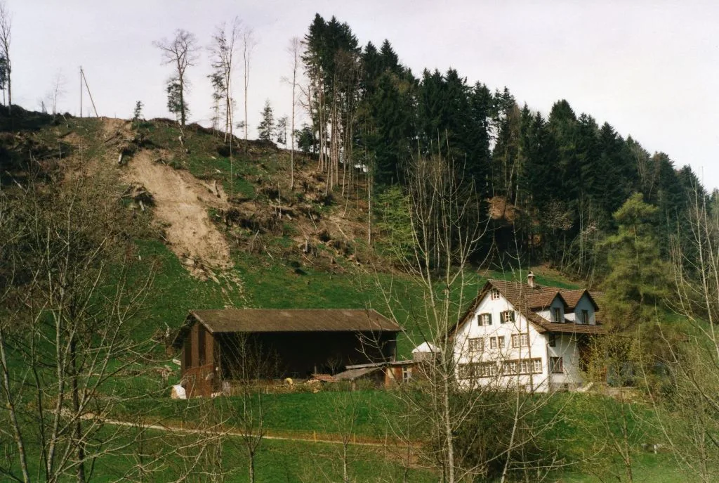 Die Verwüstung war sogar im Jahr 2001 noch gut sichtbar, wie hier in Bauma. Man sieht Sturmschäden in einem Wald.