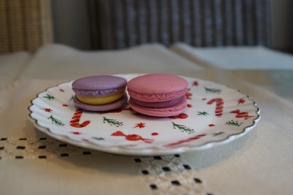 Man sieht zwei farbige Macarons.