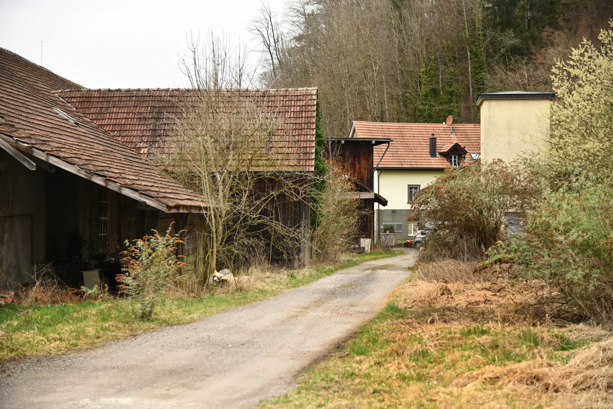 Rundgang auf dem Metzgerareal, Landbote