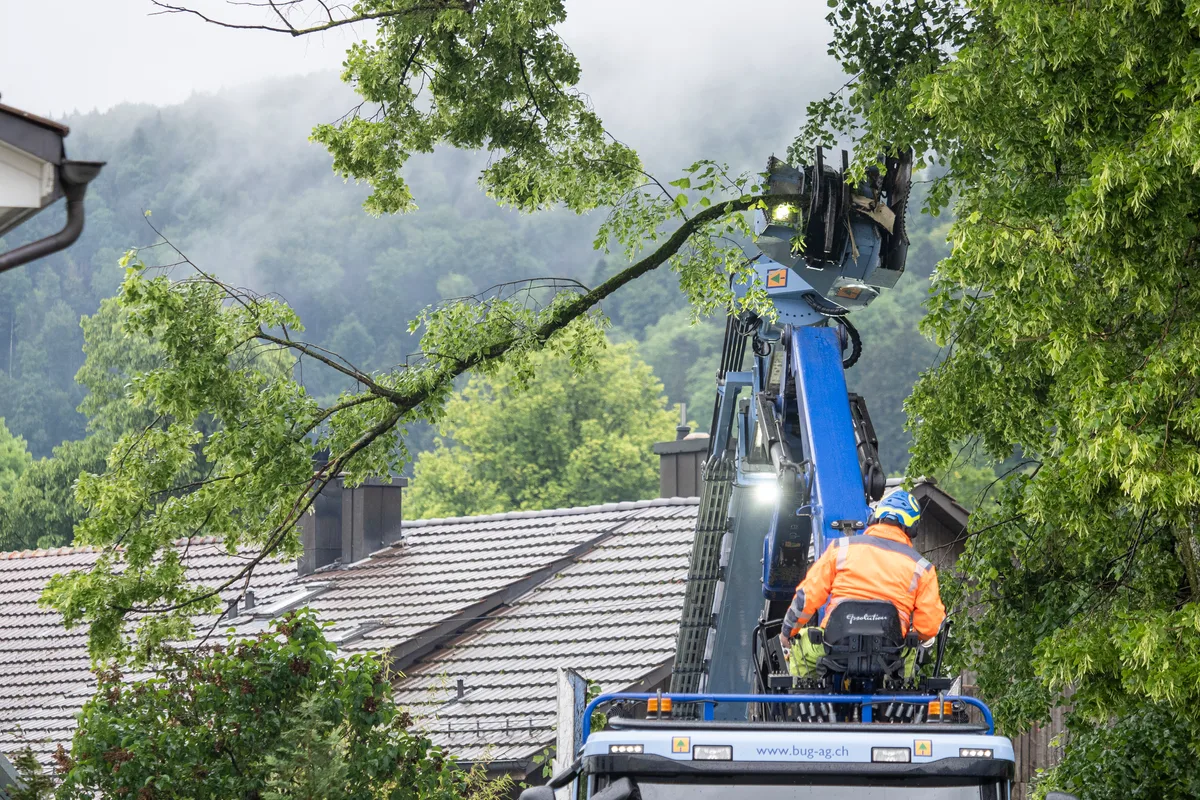 Das Fällmobil macht sich an der Linde zu schaffen, unterstützt von einem Kran mit Greifer. Das Fällmobil macht sich an der Linde zu schaffen, unterstützt von einem Kran mit Greifer.