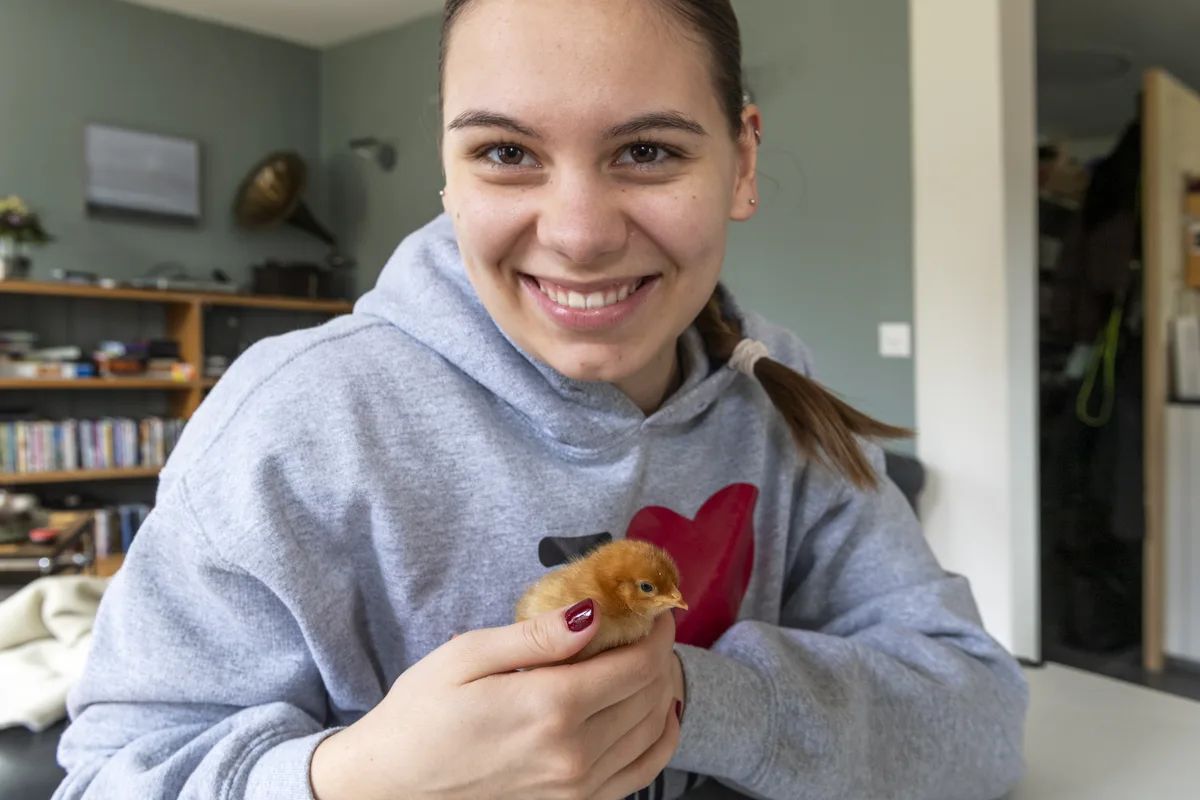 Bei Julia und ihrem Bibeli läuft die Kennenlernphase noch. Danach wird das gefederte Tierchen einen Namen erhalten. Ostereier färben mit Bibeli.