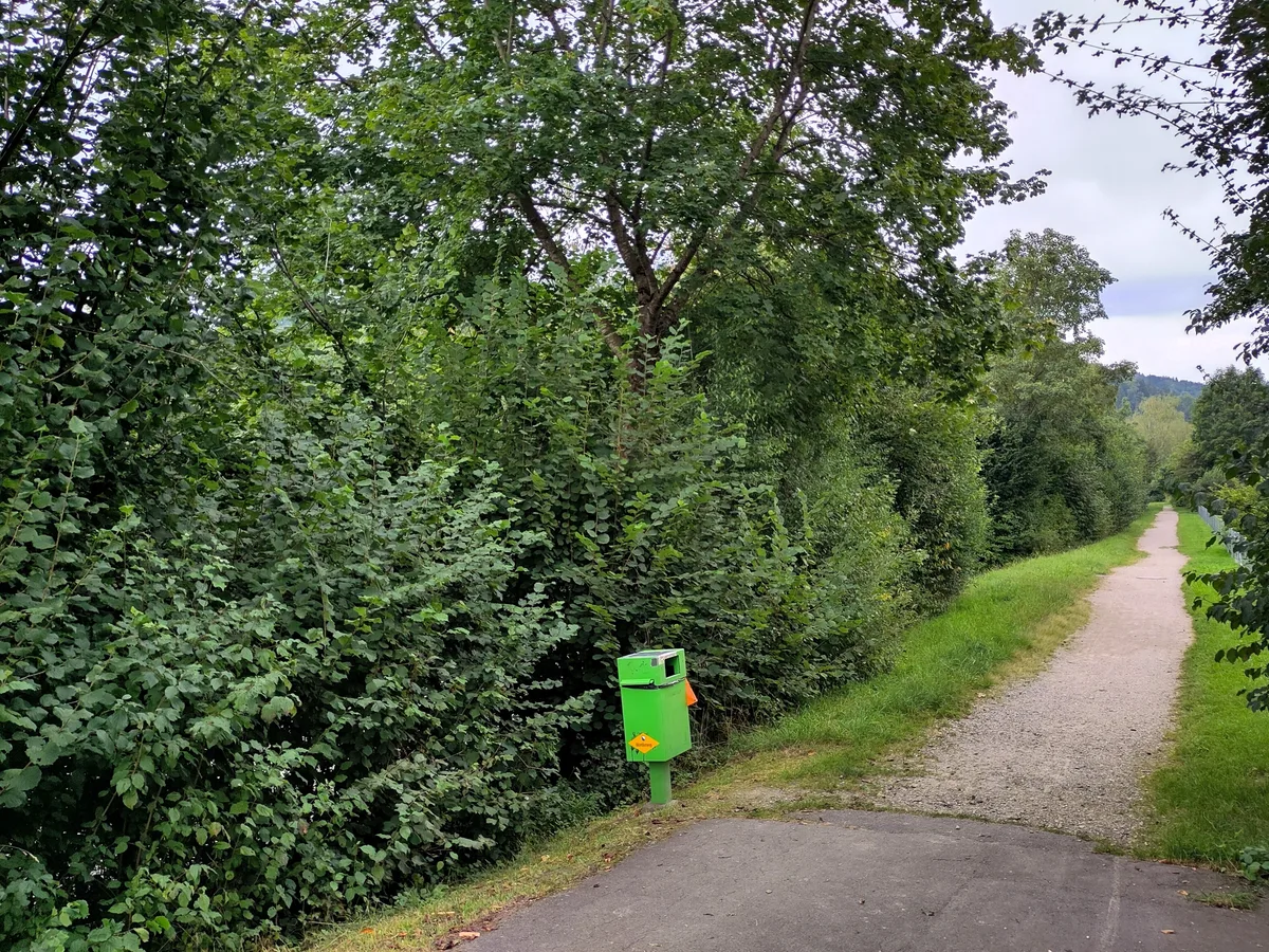 Man sieht einen Fussweg mit Büschen.