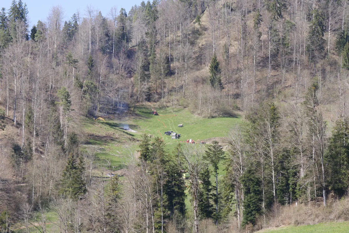 Man sieht Einsatzkräfte bei einem Waldbrand.