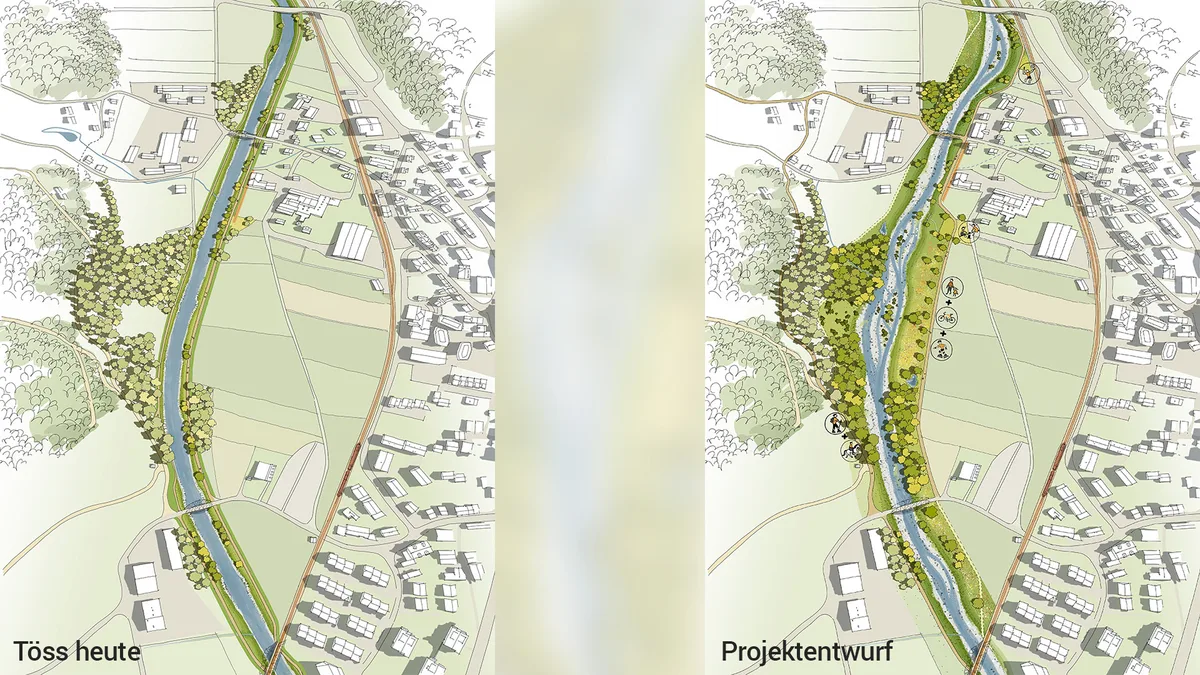Man sieht eine Grafik mit der Töss heute und nach der Revitalisierung.