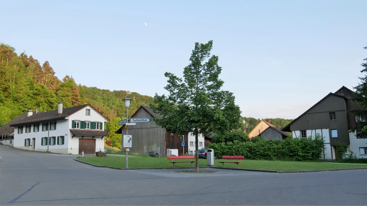 Man sieht eine Wiese mit zwei Parkbänken und einem Baum.
