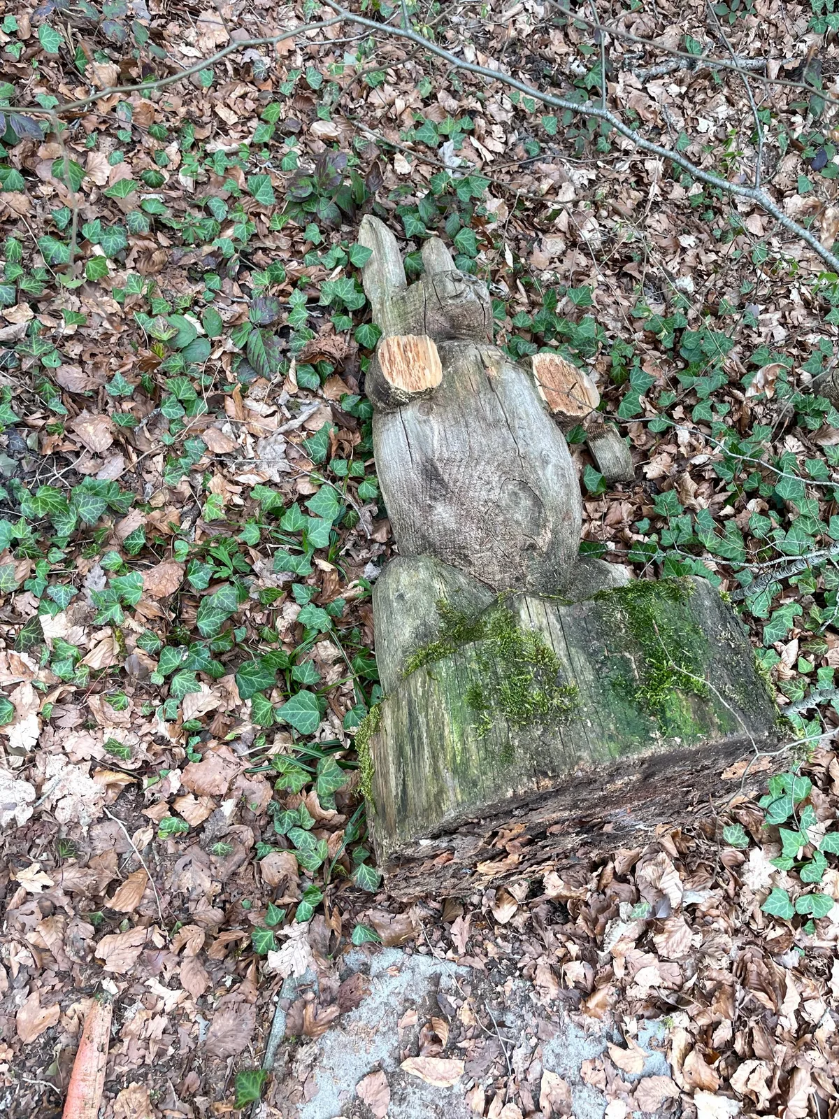 Man sieht eine umgestürzte Holzskulptur in feuchtem Waldboden.