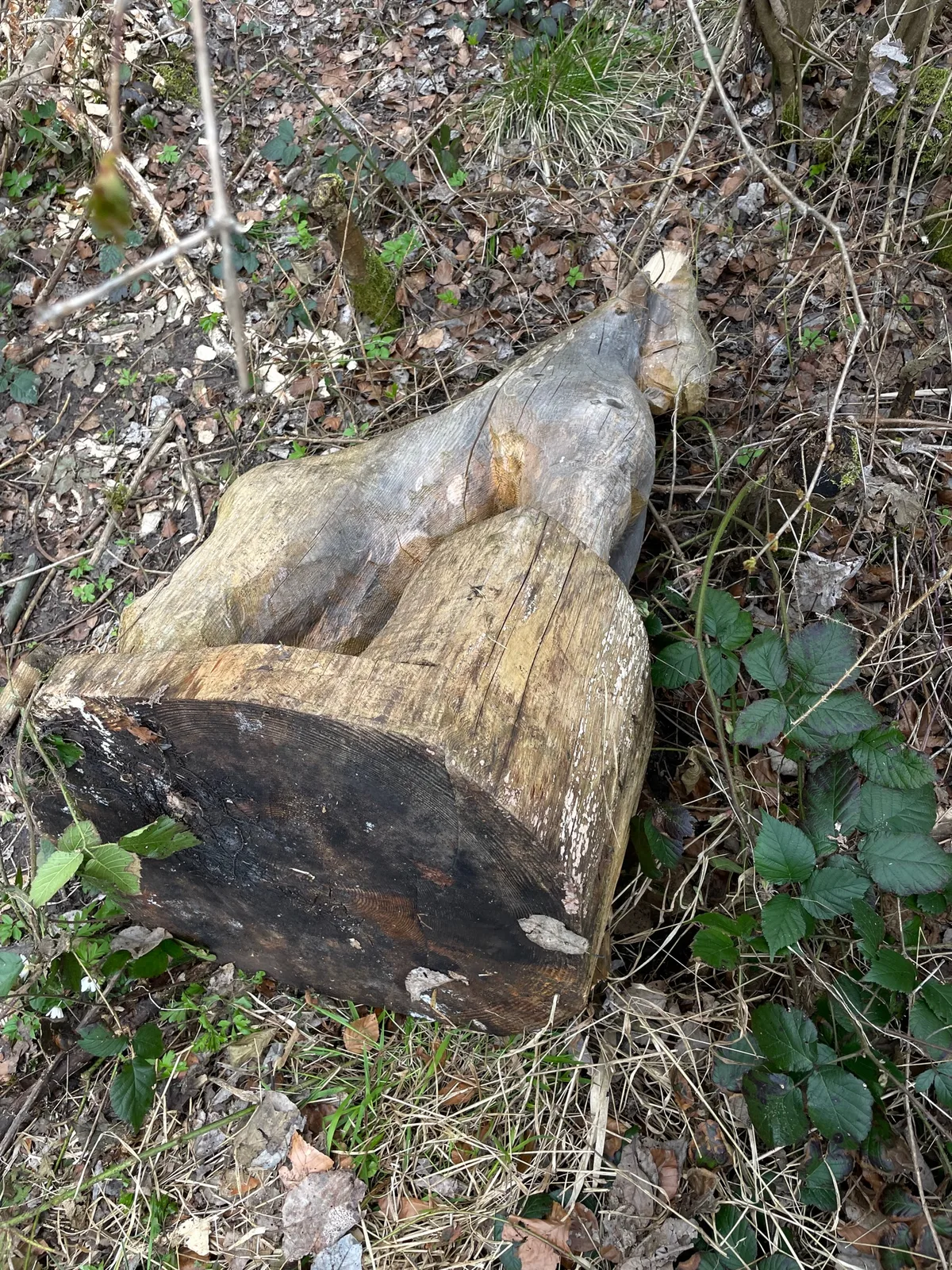 Man sieht eine umgestürzte Holzskulptur in feuchtem Waldboden.