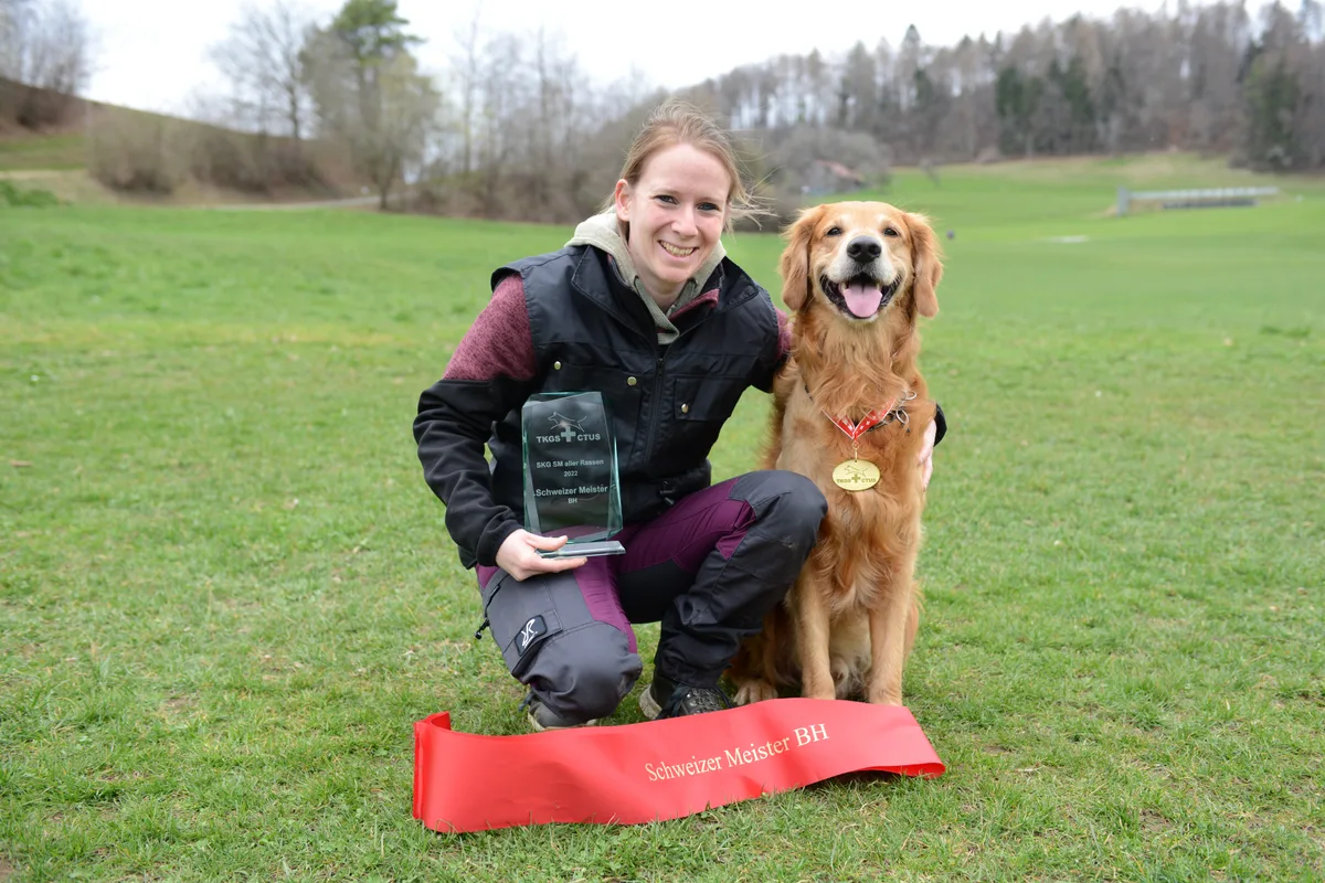 Ihr grösstes Ziel haben Jessica Roth und Scar bei der letztjährigen Schweizer Meisterschaft erreicht. Man sieht einen Golden Retriever beim Training für den Hundesport.
