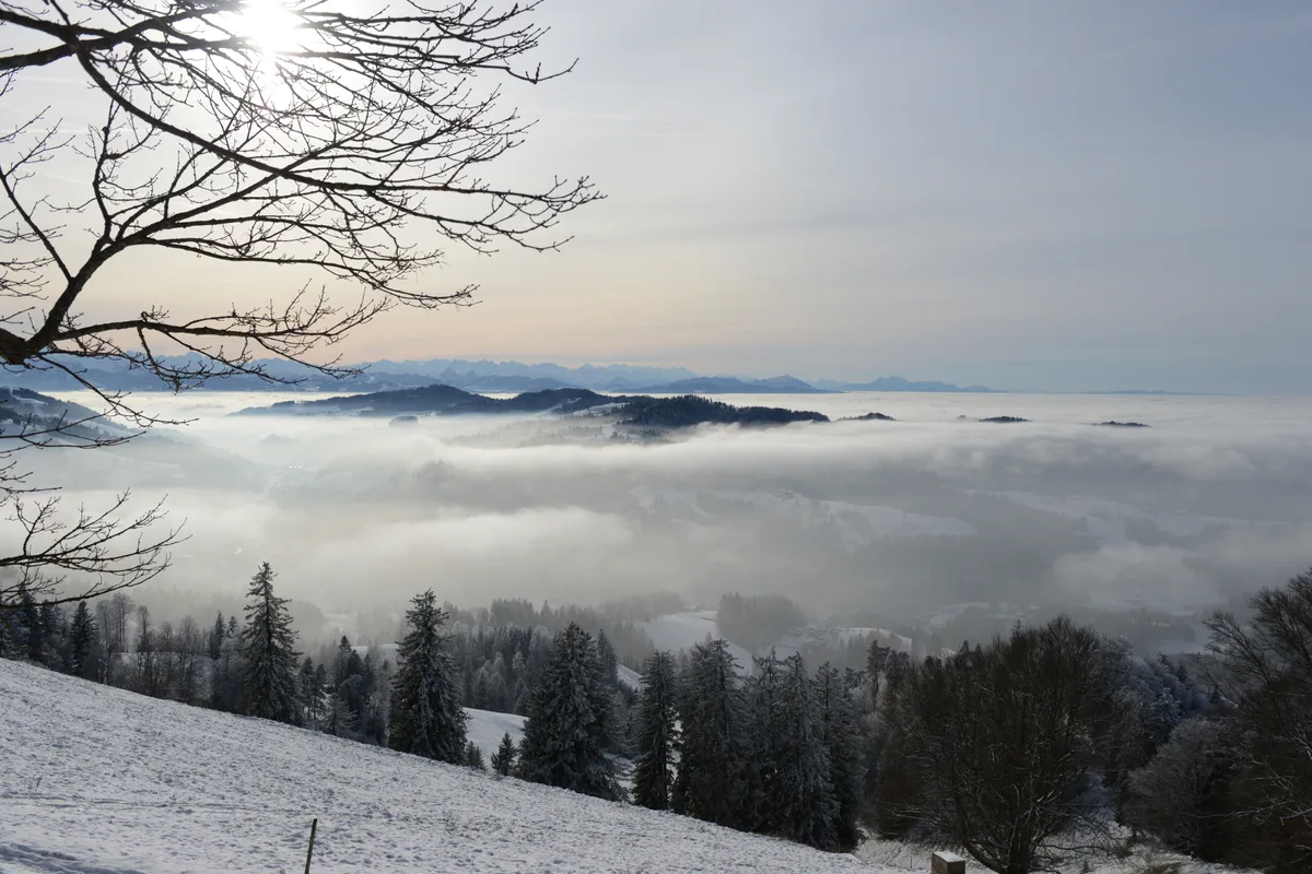 Während die Region im Verlaufe des Tages wieder mit Hochnebel bedeckt wurde, war die Aussicht auf dem Hörnli ein Ausflug wert. Schlitteln auf dem Hörnli am sonntag 18.12.2022
