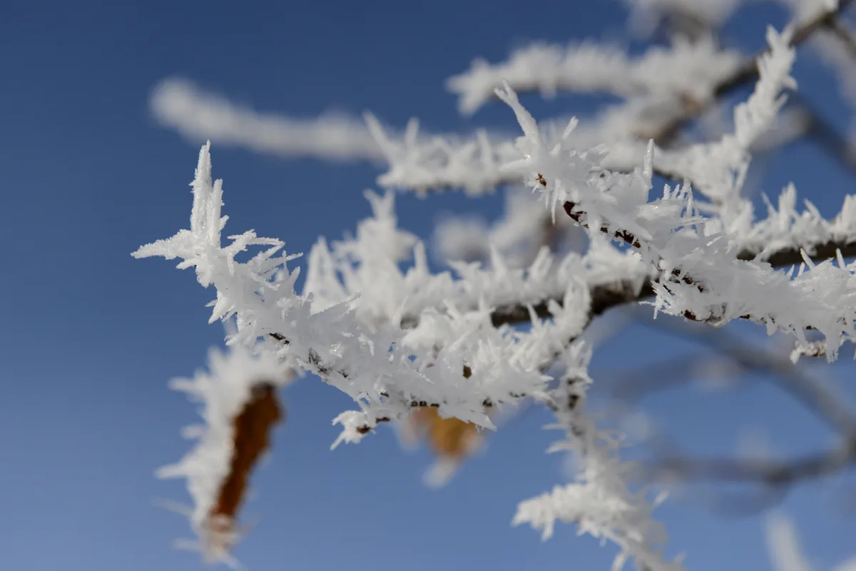 Erst die Sonne brachte die Schönheit der Schneekristalle zum Vorschein. Schlitteln auf dem Hörnli am sonntag 18.12.2022