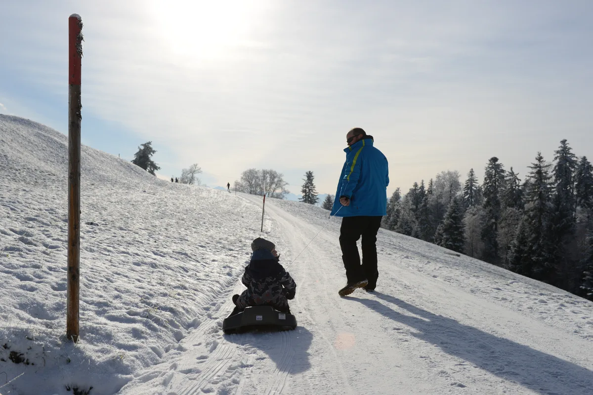 Eitel Sonnenschein: Auf dem Hörnli war am Sonntag bestes Schlittelwetter. Schlitteln auf dem Hörnli am sonntag 18.12.2022