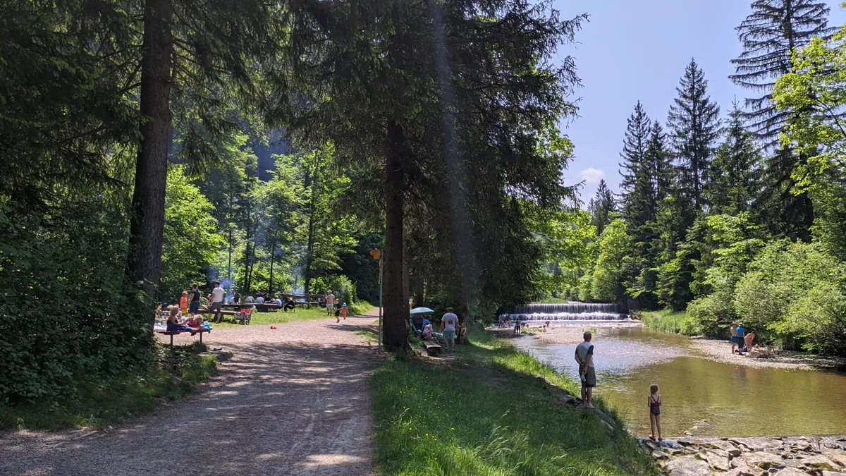 Man sieht einen Badeplatz an einem Fluss im Wald.