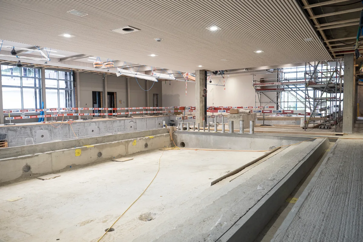 Blick auf die Baustelle: Man sieht die Halle mit Schwimmbecken.