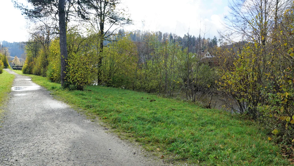 Man sieht einen Damm an der Töss, auf dem sich ein Weg befindet.