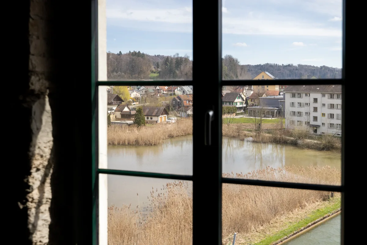 Ein Fenster eröffnet den Blick auf einen schilfbewachsenen Weiher.