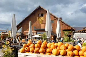 Früh am Morgen ist es noch ruhig auf dem Bächlihof, doch kontinuierlich kommen immer mehr Gäste nach Rapperswil-Jona. Früh am Morgen ist es noch ruhig auf dem Bächlihof, doch kontinuierlich kommen immer mehr Gäste nach Rapperswil-Jona.
