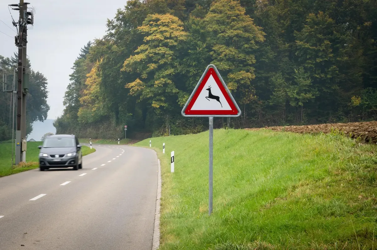 Man sieht eine Verkehrstafel Achtung Wild neben einer Strasse.