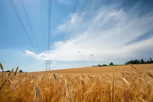 Weizenfeld bei Fehraltorf am 22. Juni. Am Himmel sind die Überreste eines ehemaligen Schwarzwaldgewitters zu sehen. Weizenfeld bei Fehraltorf am 22. Juni. Am Himmel sind die Überreste eines ehemaligen Schwarzwaldgewitters zu sehen.