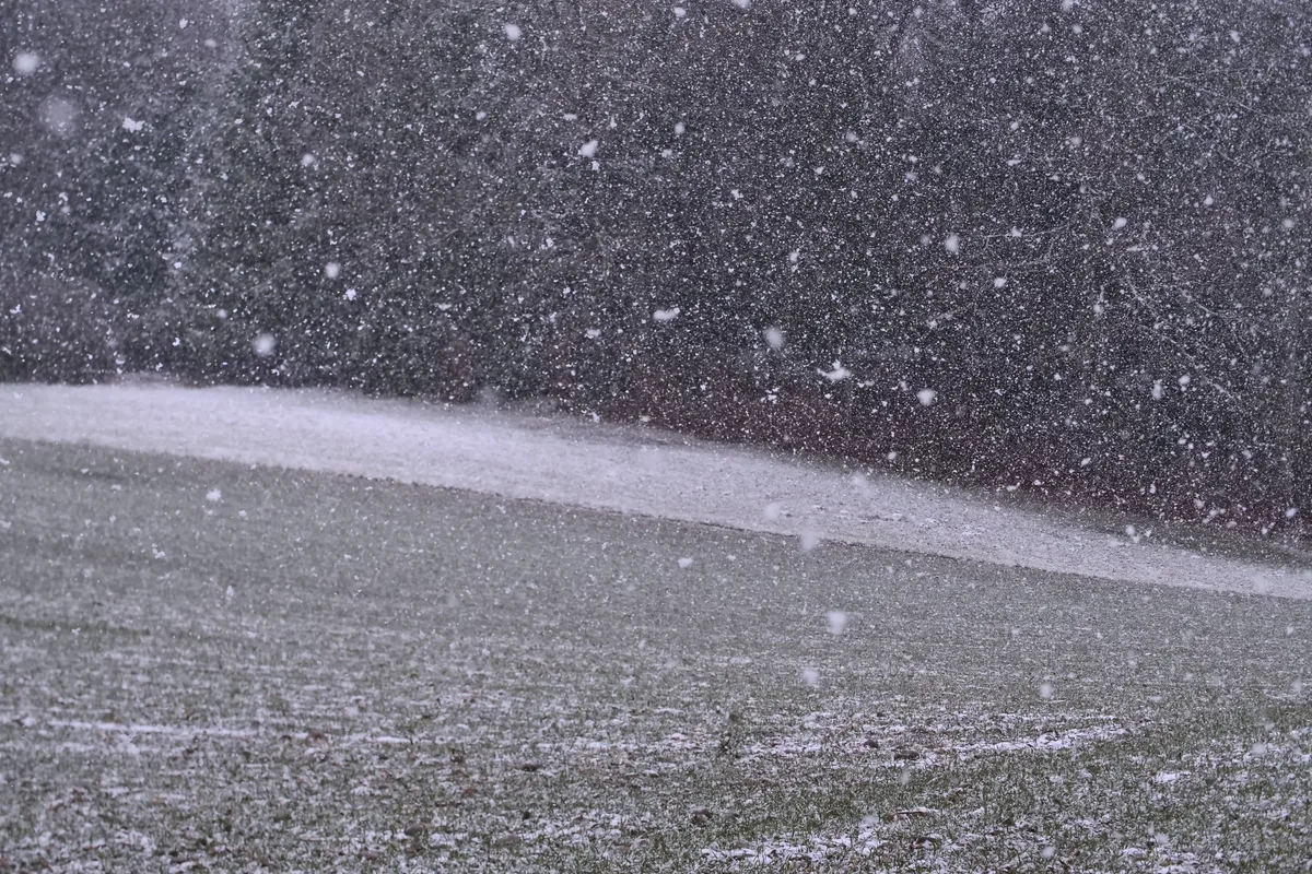 Dichter Schneefall in Oberuster am 18. Februar um 13:40 Uhr.