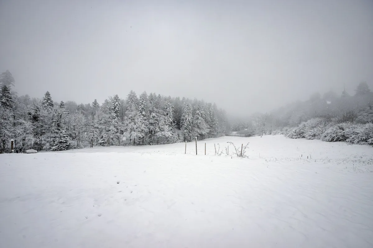 Der Humbelweiher präsentiert sich am 26. März um 8 Uhr morgens in unerwartet winterlicher Kulisse: 8 bis 10 Zentimeter Neuschnee überziehen die Landschaft und lassen die zuvor frühlingshaften Temperaturen beinahe vergessen. Verschneite Landschaft