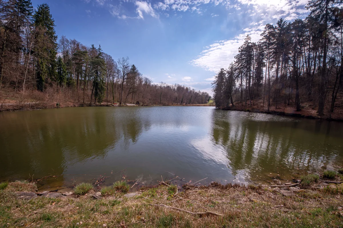 Der Staldenweiher zwischen Fehraltorf und Russikon am Morgen des 25. März: Zwar blauer Himmel, aber starke Windböen, welche
die Wasseroberfläche kräuseln lassen. Ein Weiher zwischen Russikon und Fehraltorf.