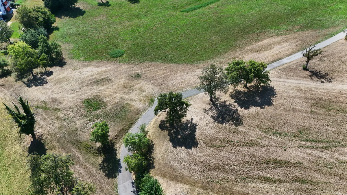 Ausgetrocknete Felder und Seen – die Folgen der Trockenheit machen sich im Oberland bemerkbar. Ausgetrocknete Felder und Seen – die Folgen der Trockenheit machen sich im Oberland bemerkbar.