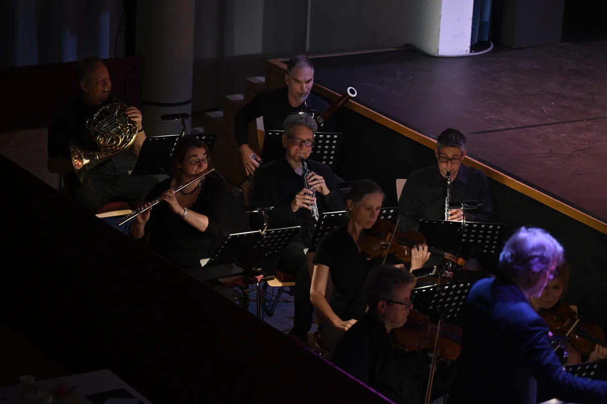 Man sieht ein Orchester mit Streich- und Blasinstrumenten.