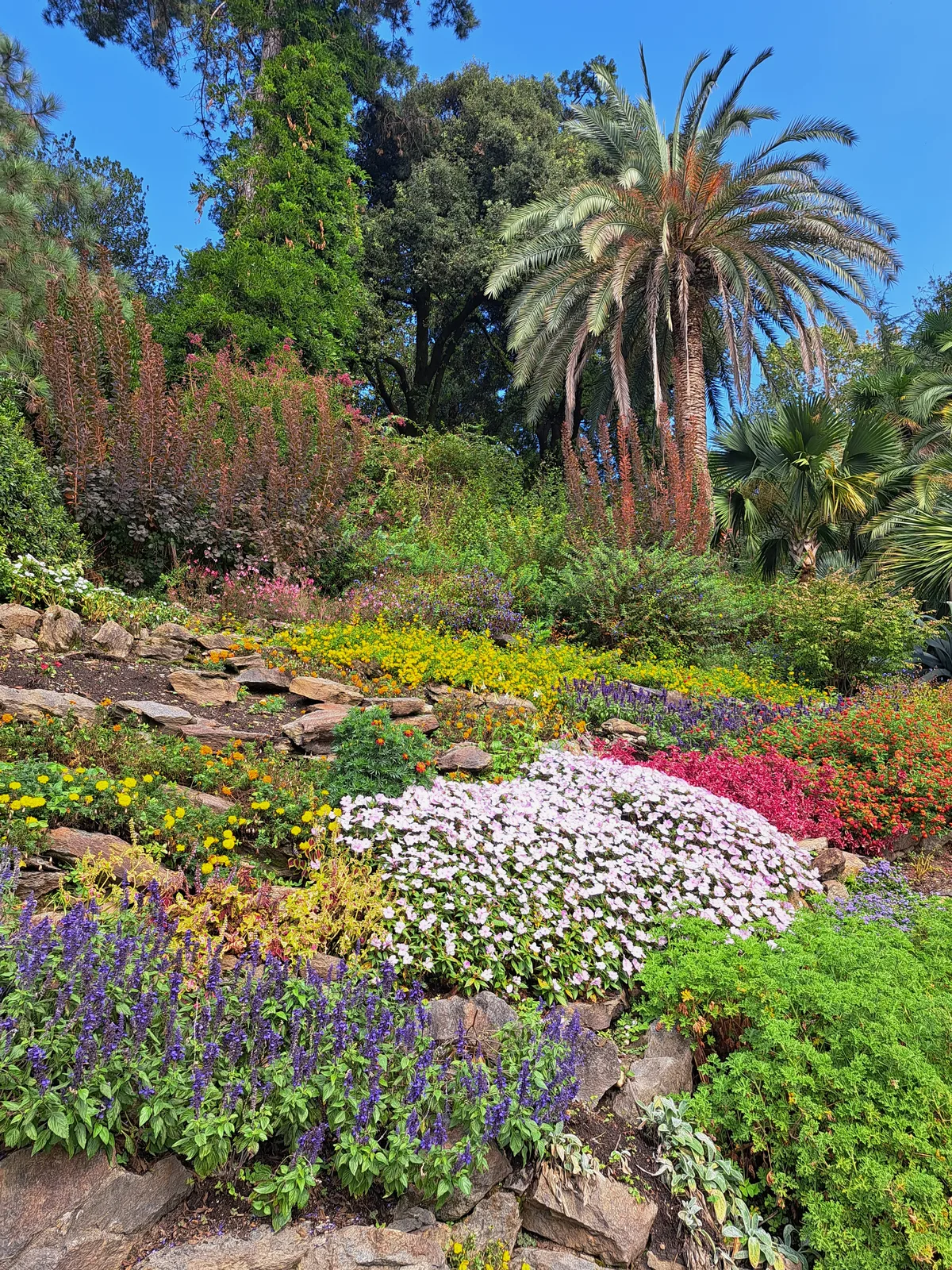 Auch in den Gärten ging es damals nur dank vielen fleissigen Händen. Heute sind es rund zehn Gärtner, die Jahr für Jahr von Gartenarchitekturstudenten unterstützt werden. Blumen und Planzen