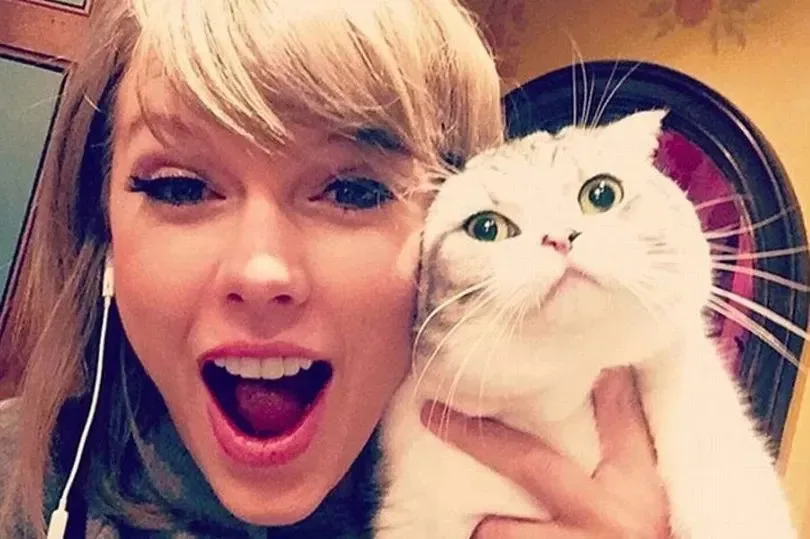 Man sieht die Sängerin Taylor Swift, die ihre Katze in die Kamera hält.