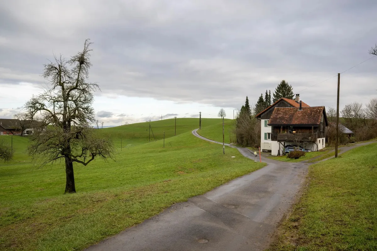 Man sieht die Einfahrt zu einem Bauernhof.