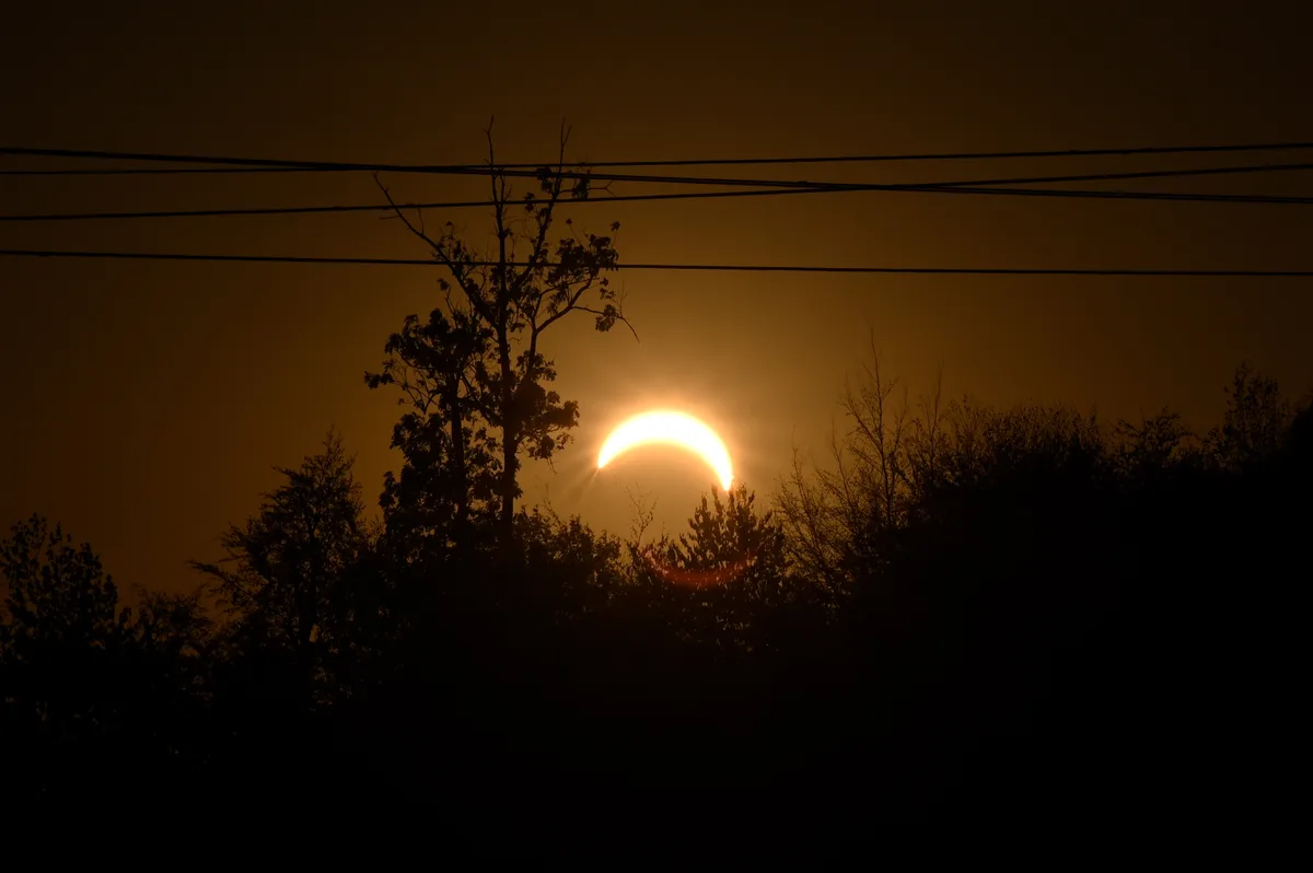Die Sonne steht Kopf. Die Sonne steht Kopf.