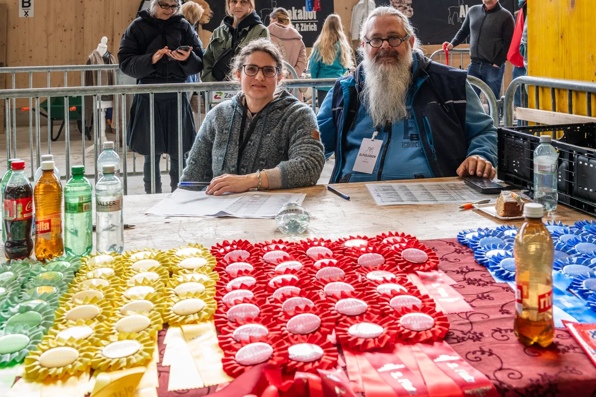 Jacqueline Tüscher und Beat Lauber sind selber Züchter und verwalten heute die Auszeichnungen für die besten Tiere. An der alljährlichen Alpakashow in Uster wurden 140 Tiere bewertet und ausgezeichnet.