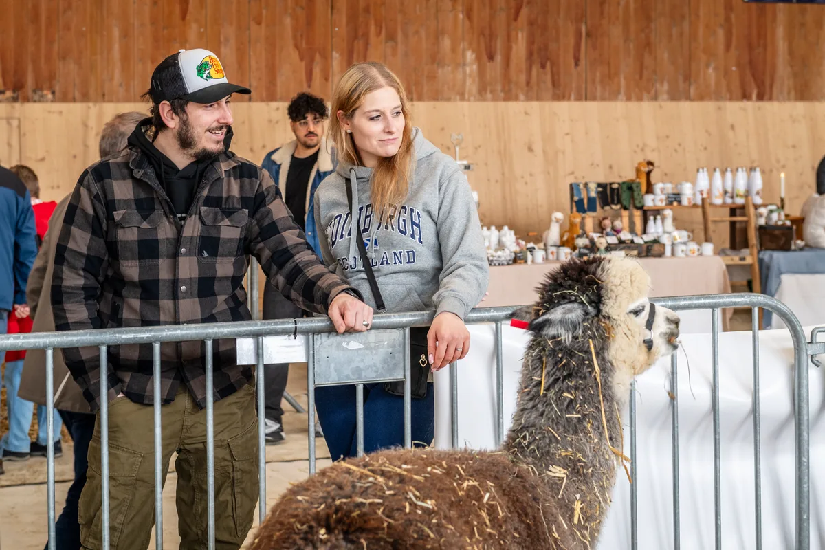 Marcel und Tanja aus dem Limmattal träumen von einer eigen Alpakazucht. Leider ist ihr Sitzplatz zu klein. An der alljährlichen Alpakashow in Uster wurden 140 Tiere bewertet und ausgezeichnet.