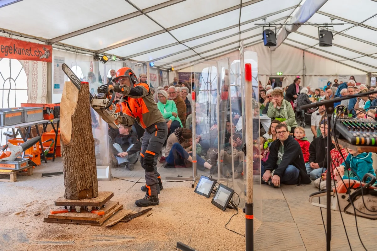 Ein Mann sägt an einem grossen Baumstamm. 