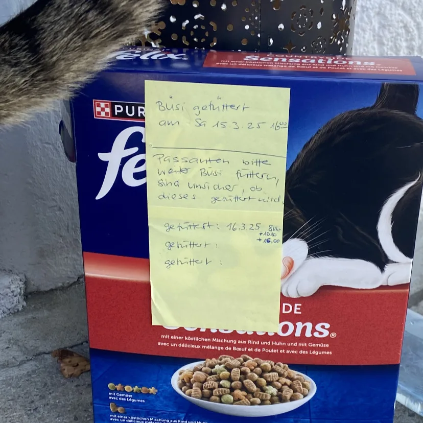 Nur eine Katze ist auf dem Areal geblieben. Momentan wird sie von Spaziergängern netterweise noch gefüttert. Eine beschriftete Packung Katzenfutter.